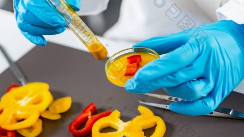 米面制品加工设备：揭秘选购背后的技术奥秘**